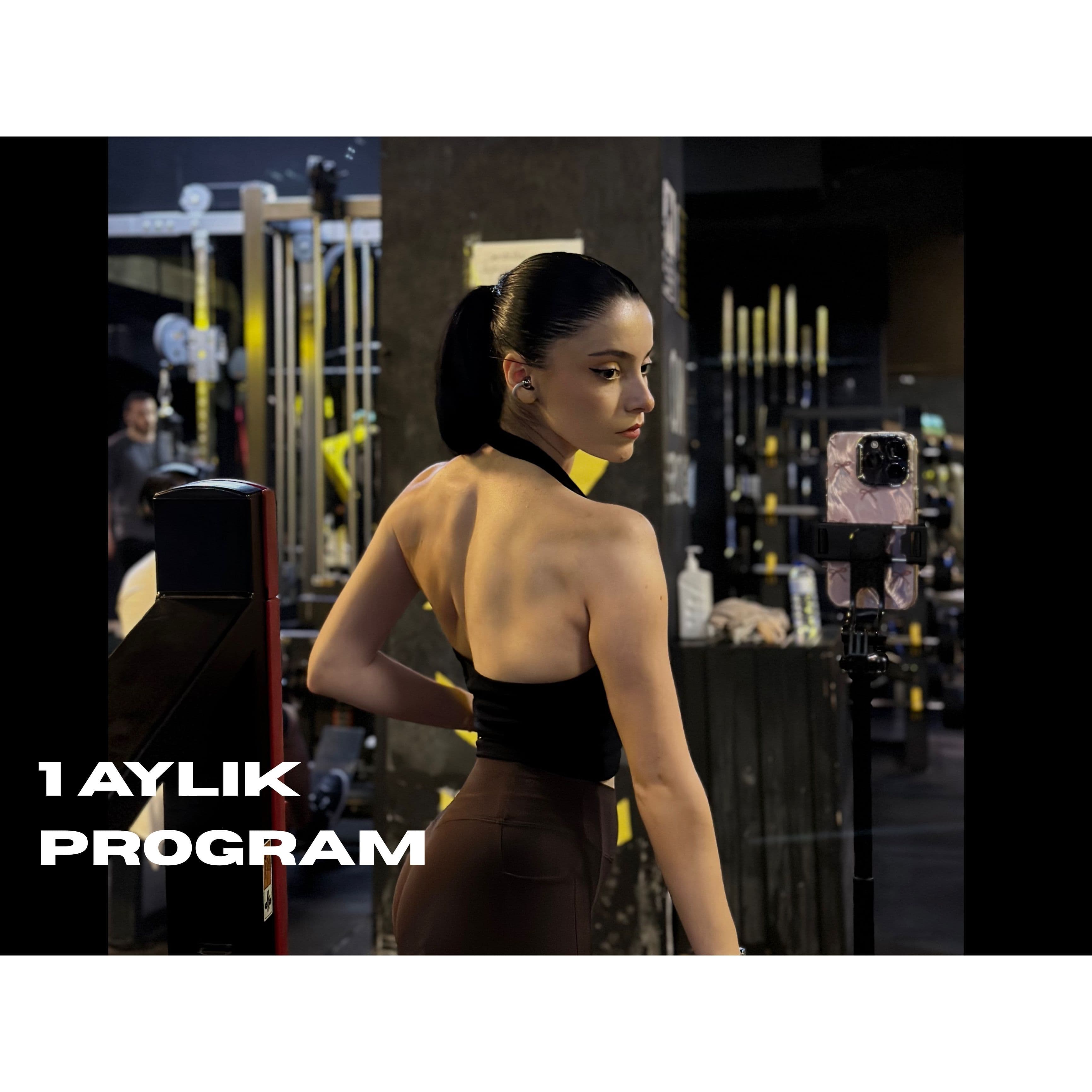 1 Aylık Program